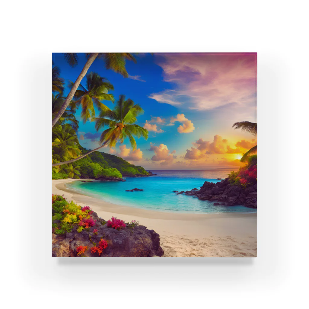 HOSHI-TANEKO🌠の🌊美しい海岸🏄✨ Acrylic Block