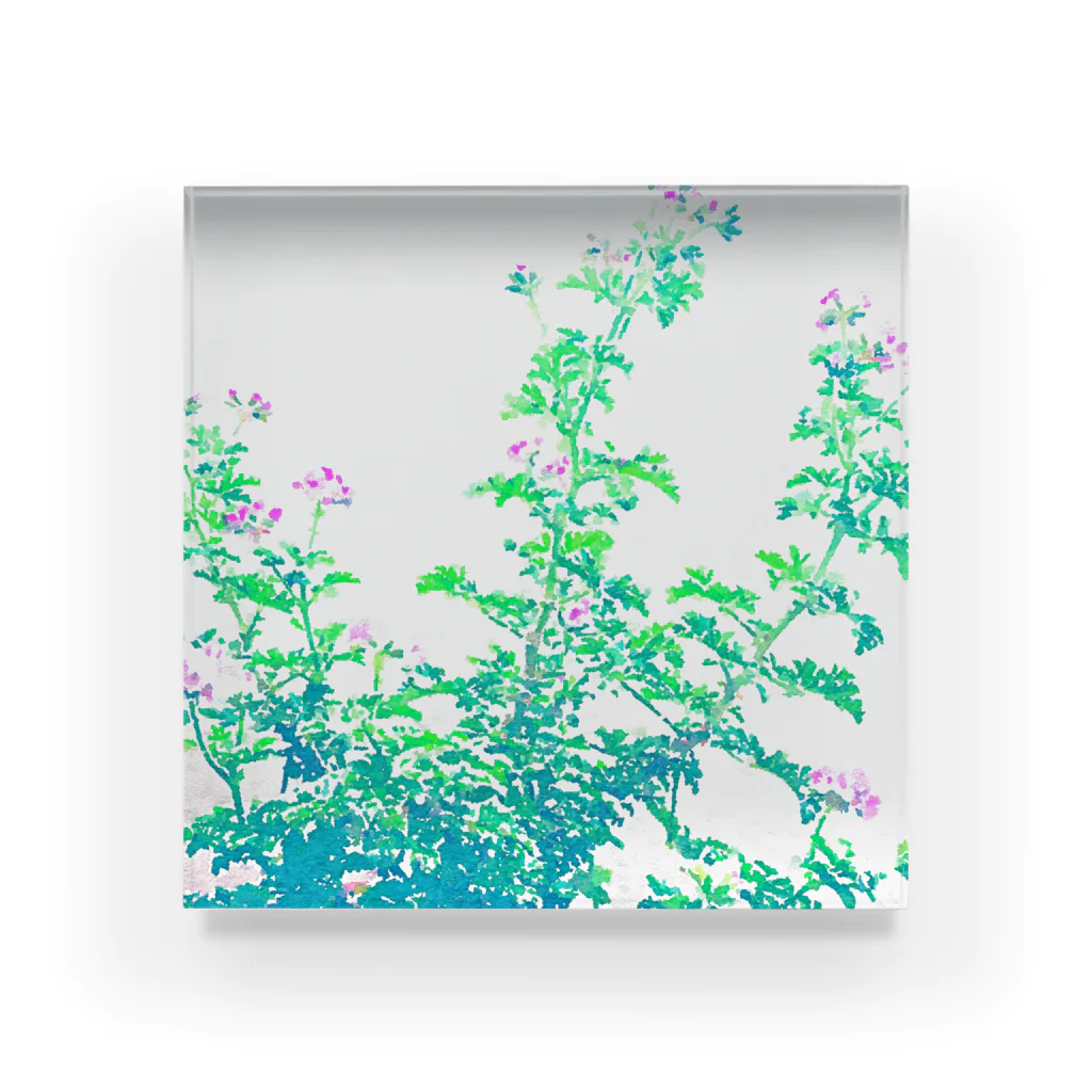 yunyunlivvyのGeranium Acrylic Block