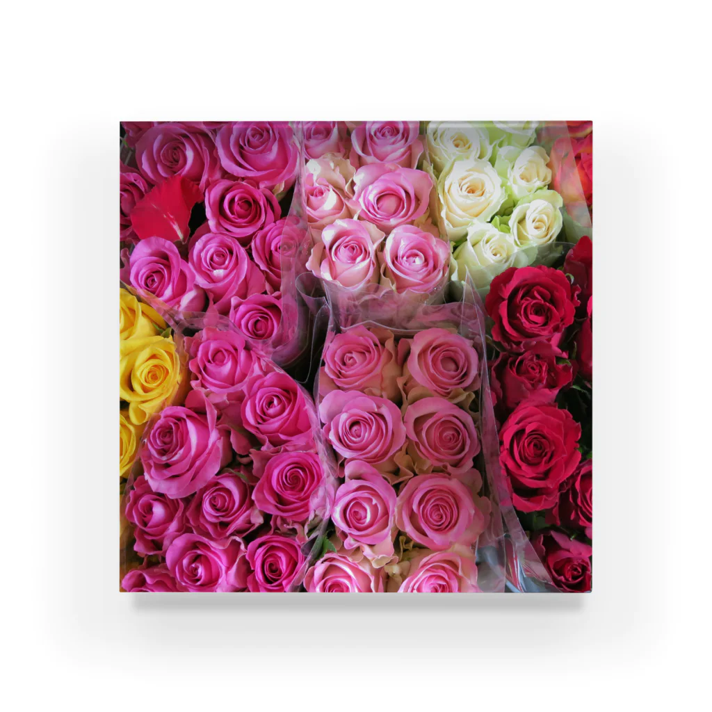 mayblueのroses Acrylic Block