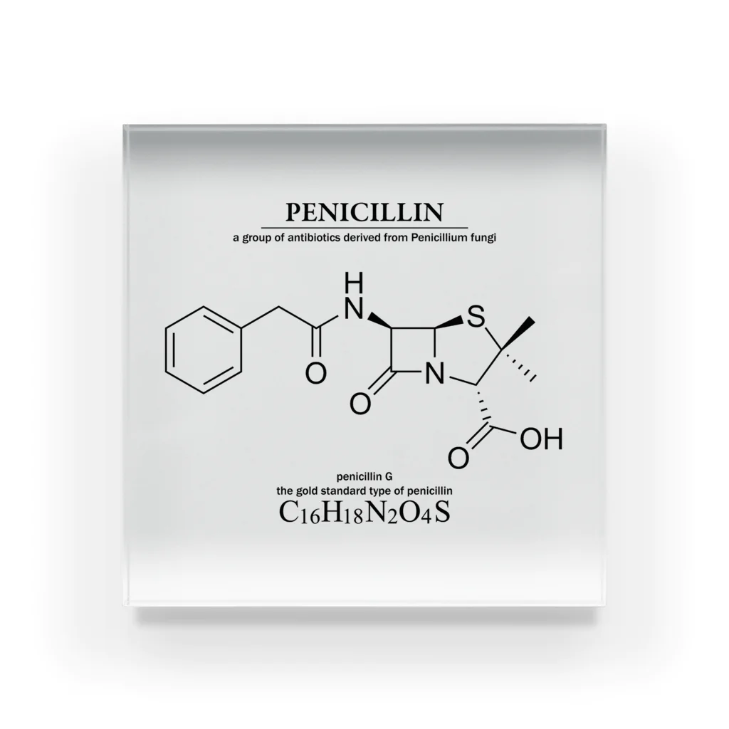 アタマスタイルのペニシリン(青カビに含まれる抗生物質・感染症に対応）：化学：化学構造・分子式 Acrylic Block