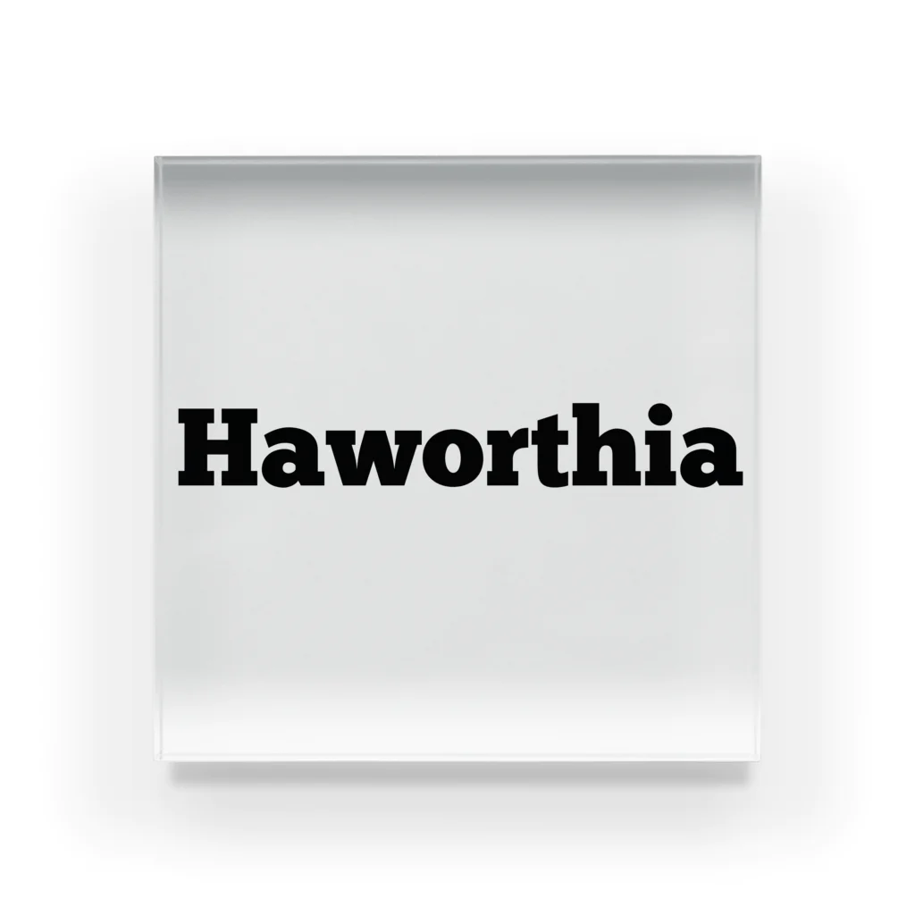 shooot07のHaworthia アクリルブロック