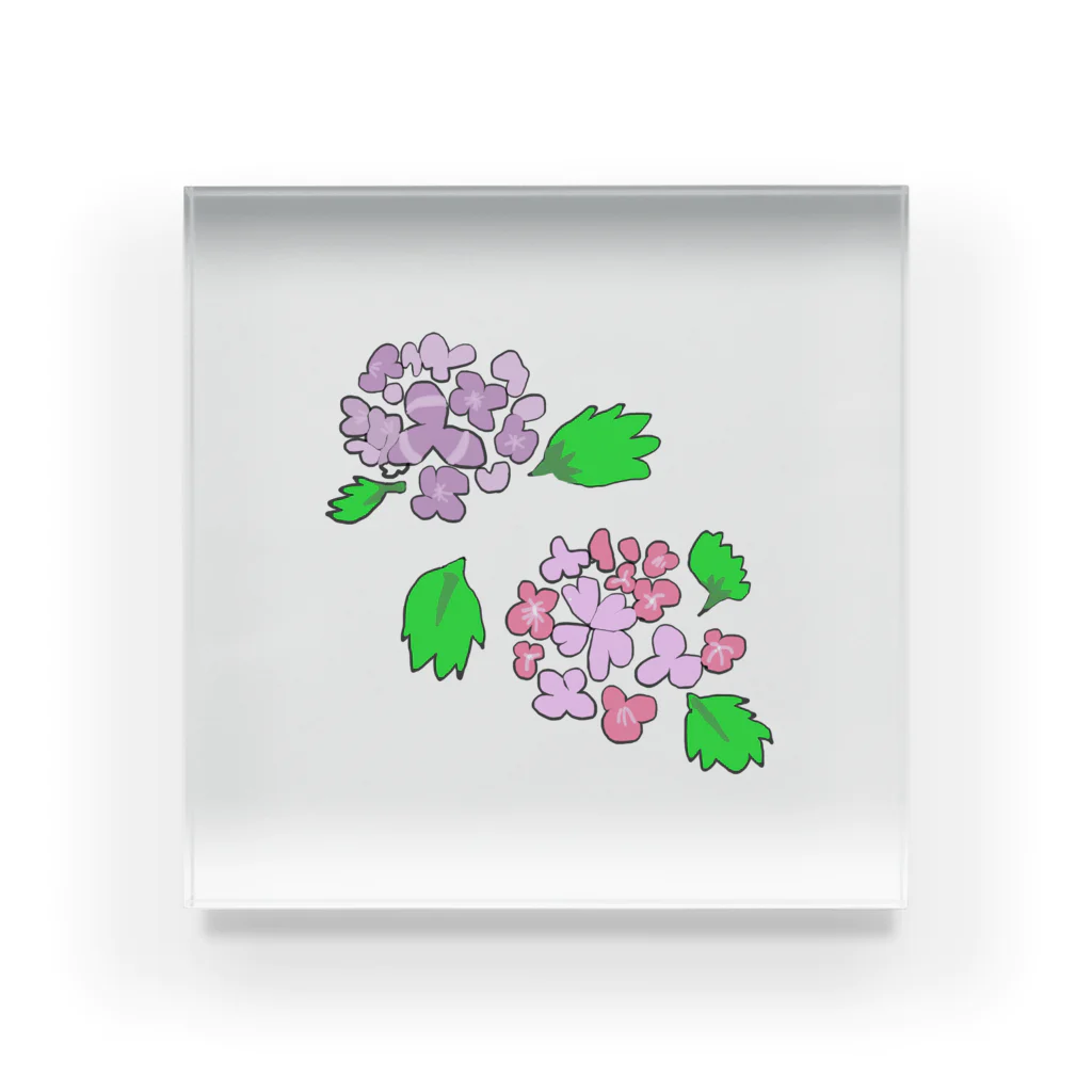 usagi-cuteの紫陽花 アクリルブロック