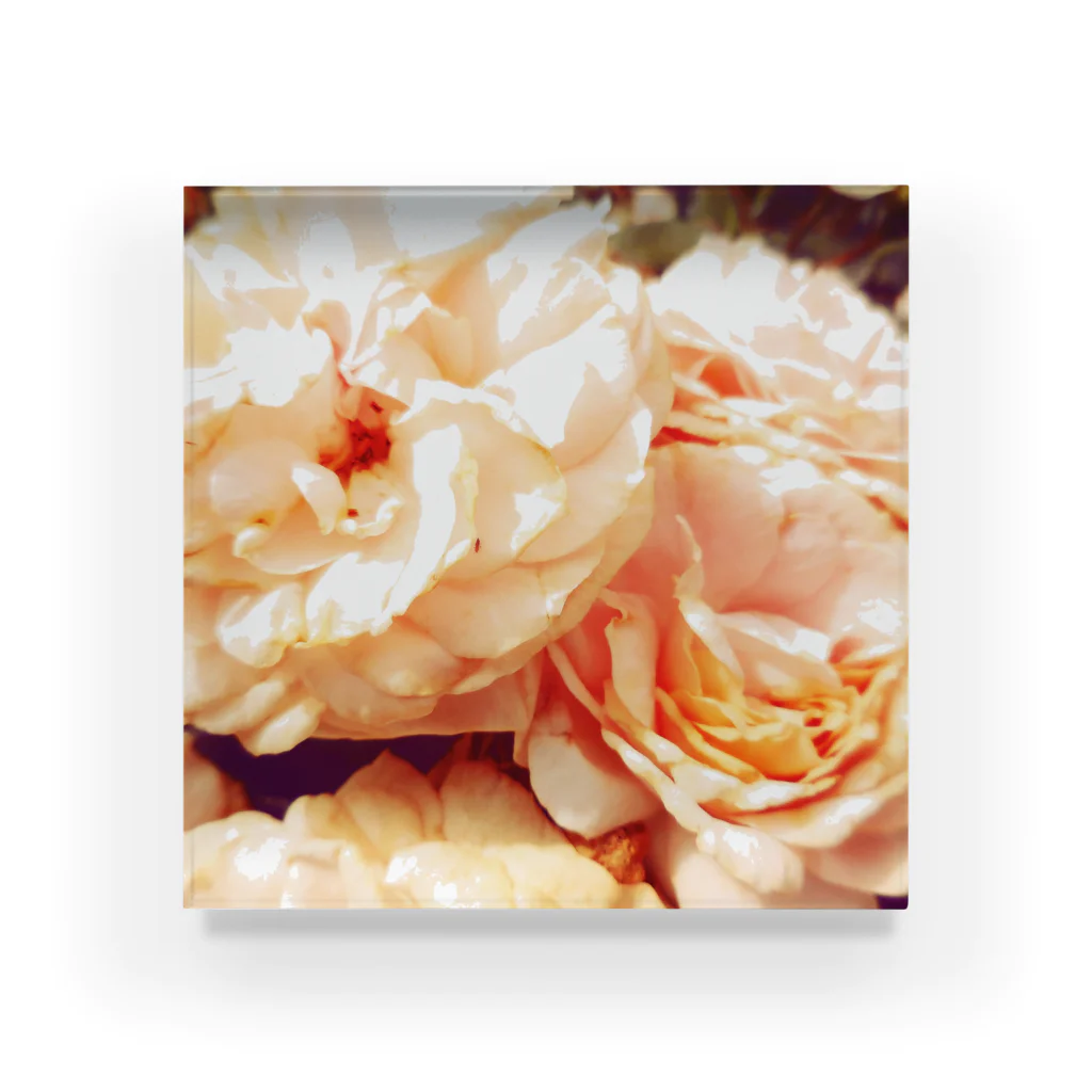 fakirのVintage Rose Acrylic Block