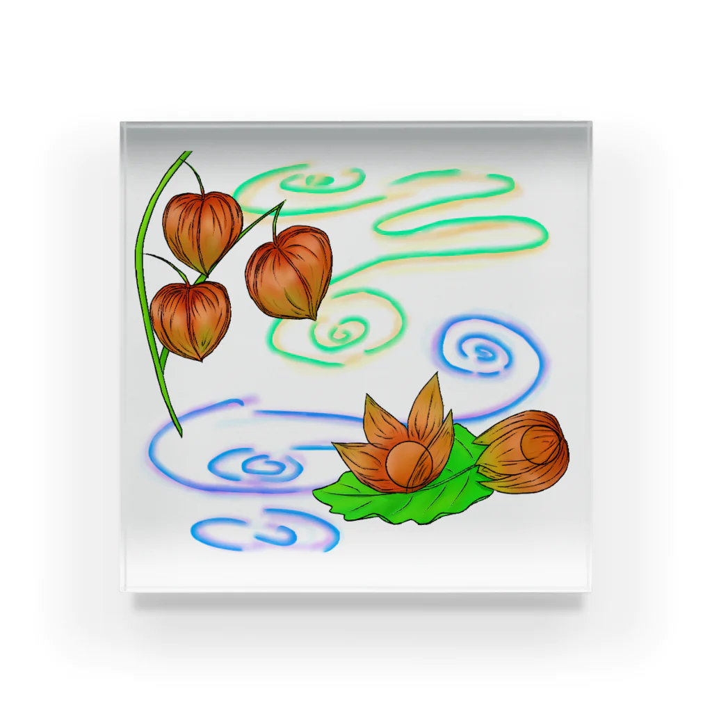 Lily bird（リリーバード）の枝つきホオズキ 水紋（和柄）その2 アクリルブロック
