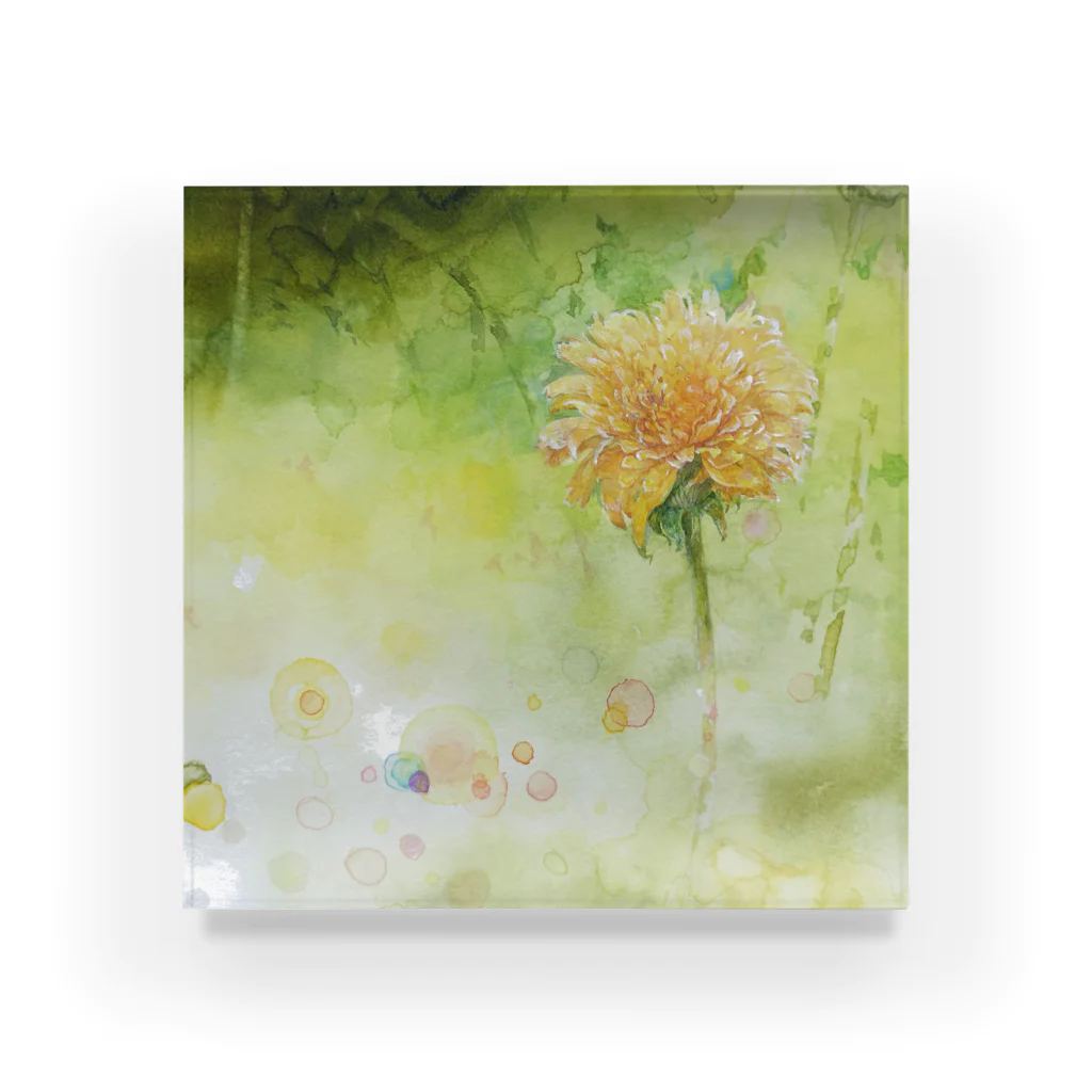 kano-natural-art-galleryのタンポポ Acrylic Block