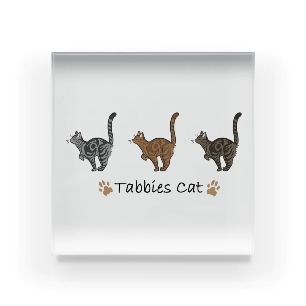 豆つぶのTabbies Cat（クラシック） アクリルブロック