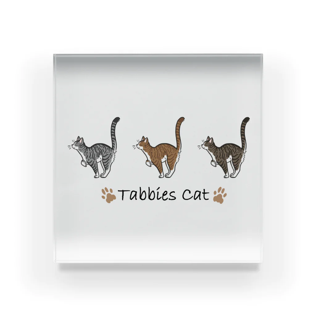 豆つぶのTabbies Cat（マッカレル） アクリルブロック