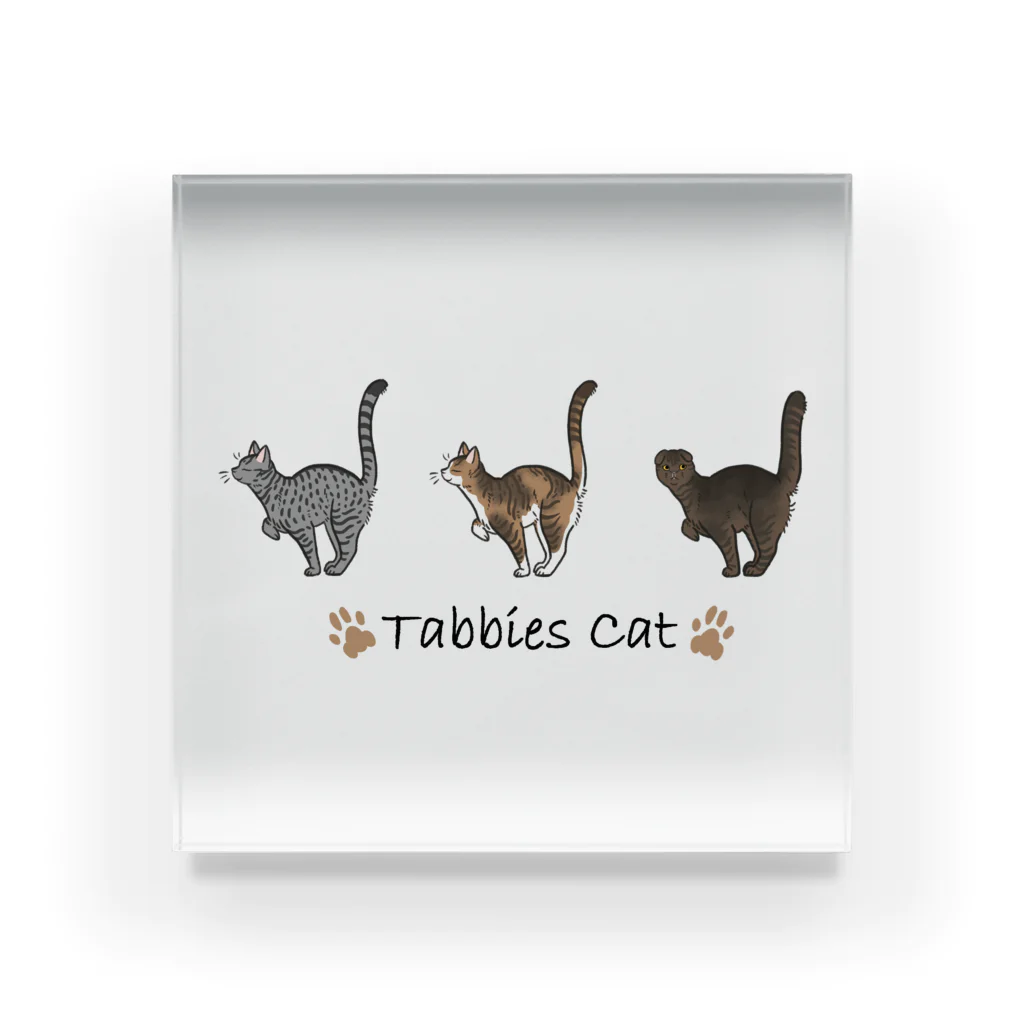 豆つぶのTabbies Cat（タビー系） アクリルブロック