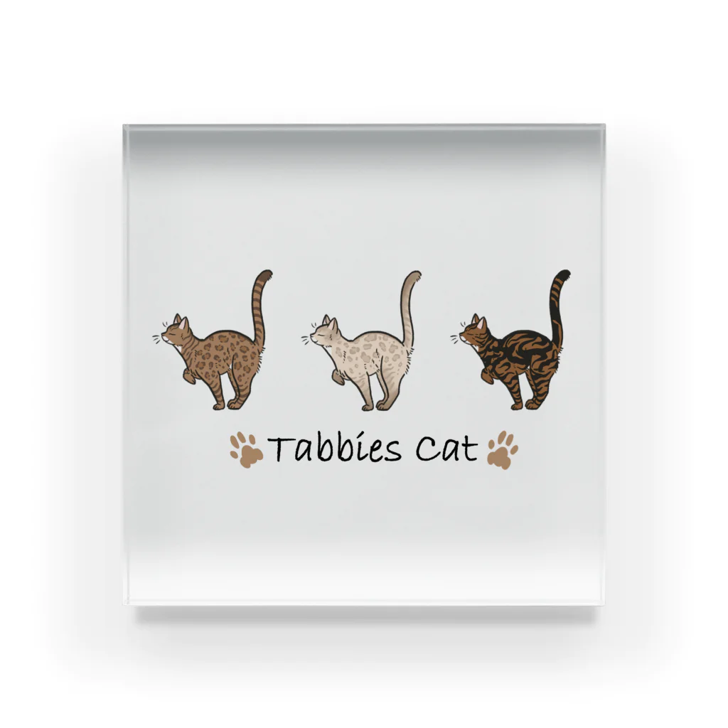 豆つぶのTabbies Cat（ロゼット/ベンガル） アクリルブロック