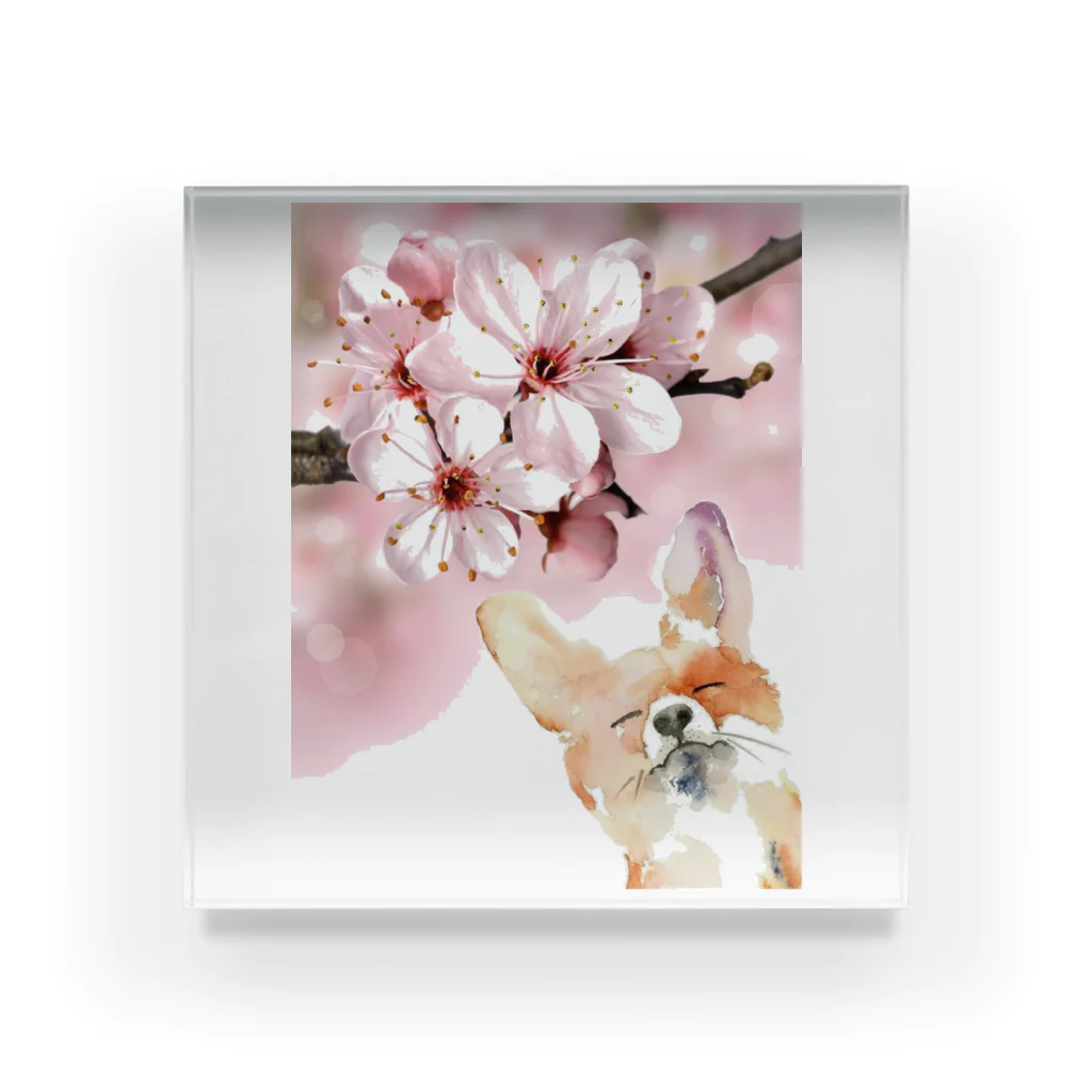 The Art FatherのFoxy Spring Sytle Acrylic Block