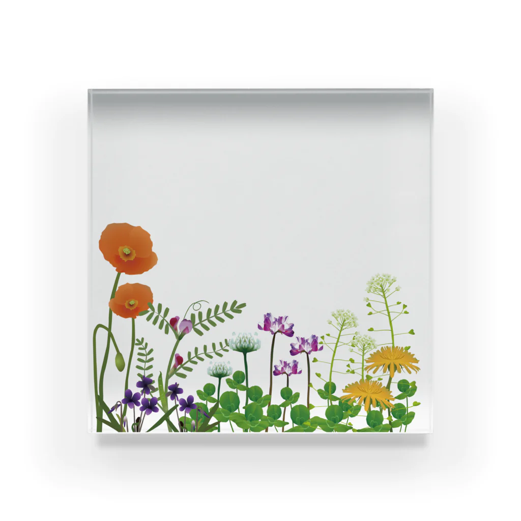 Drecome_Designの 野の花 Acrylic Block