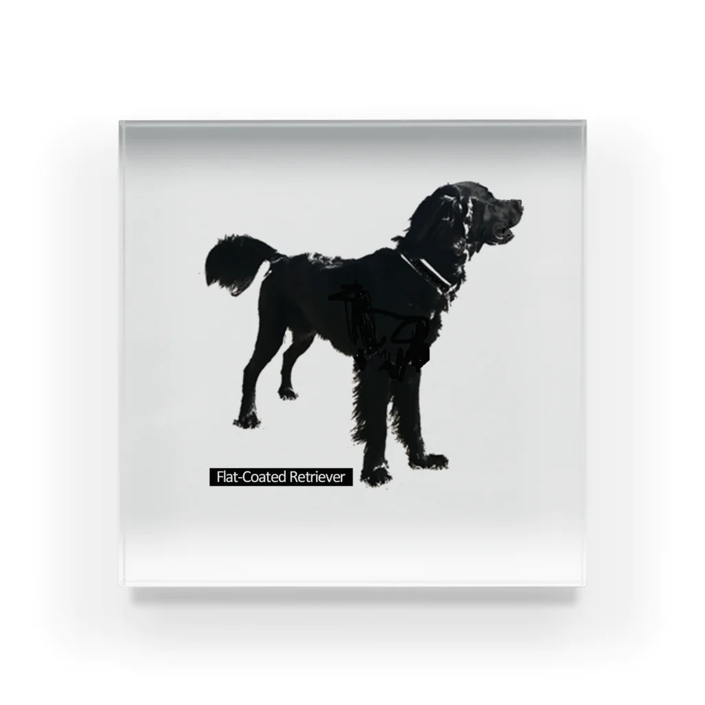 山麓図工室のFlat-Coated Retriever Acrylic Block