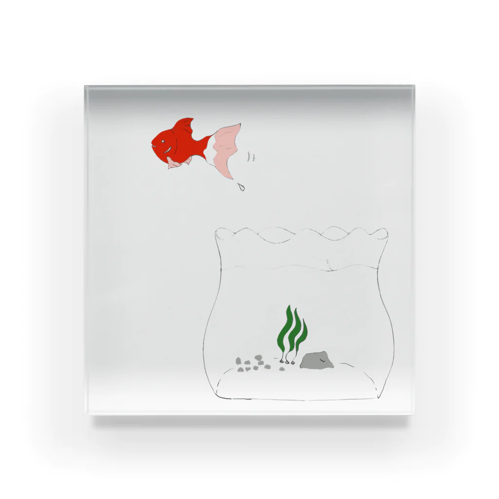 kita nobuwaのとぶ金魚 Acrylic Block