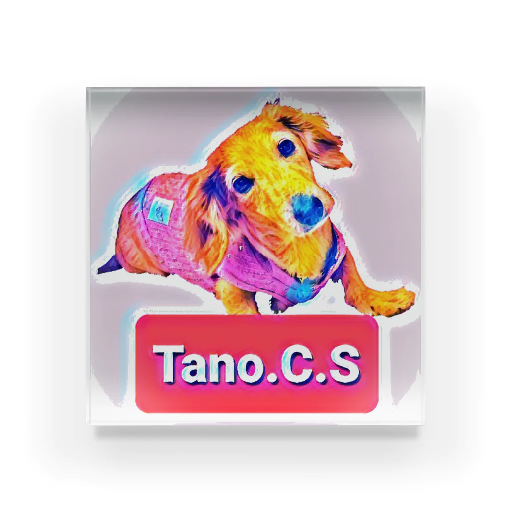 Happy　Xmas　Tano.C.S　のTano.C.S　（たのしーさーby沖縄） アクリルブロック