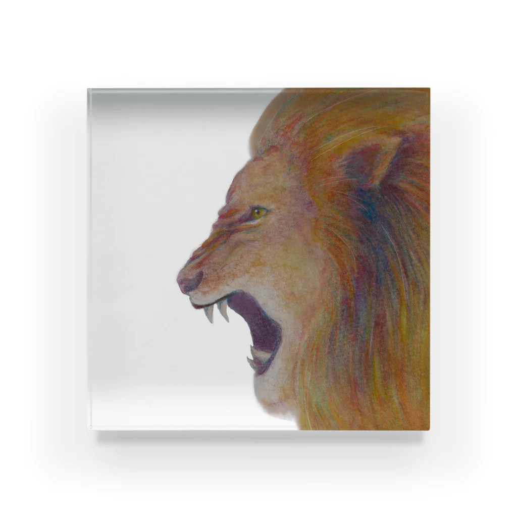 フジハラミノリのlion01 Acrylic Block