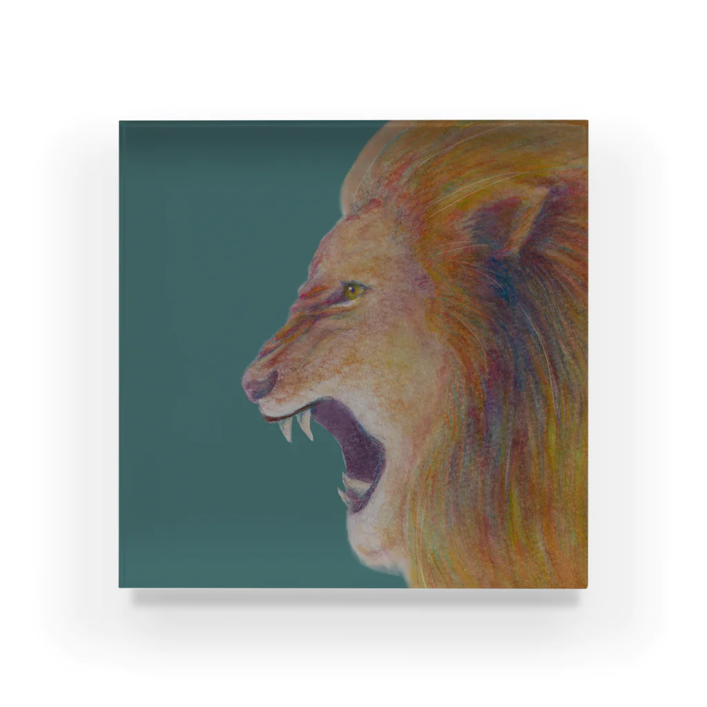 フジハラミノリのlion011 Acrylic Block