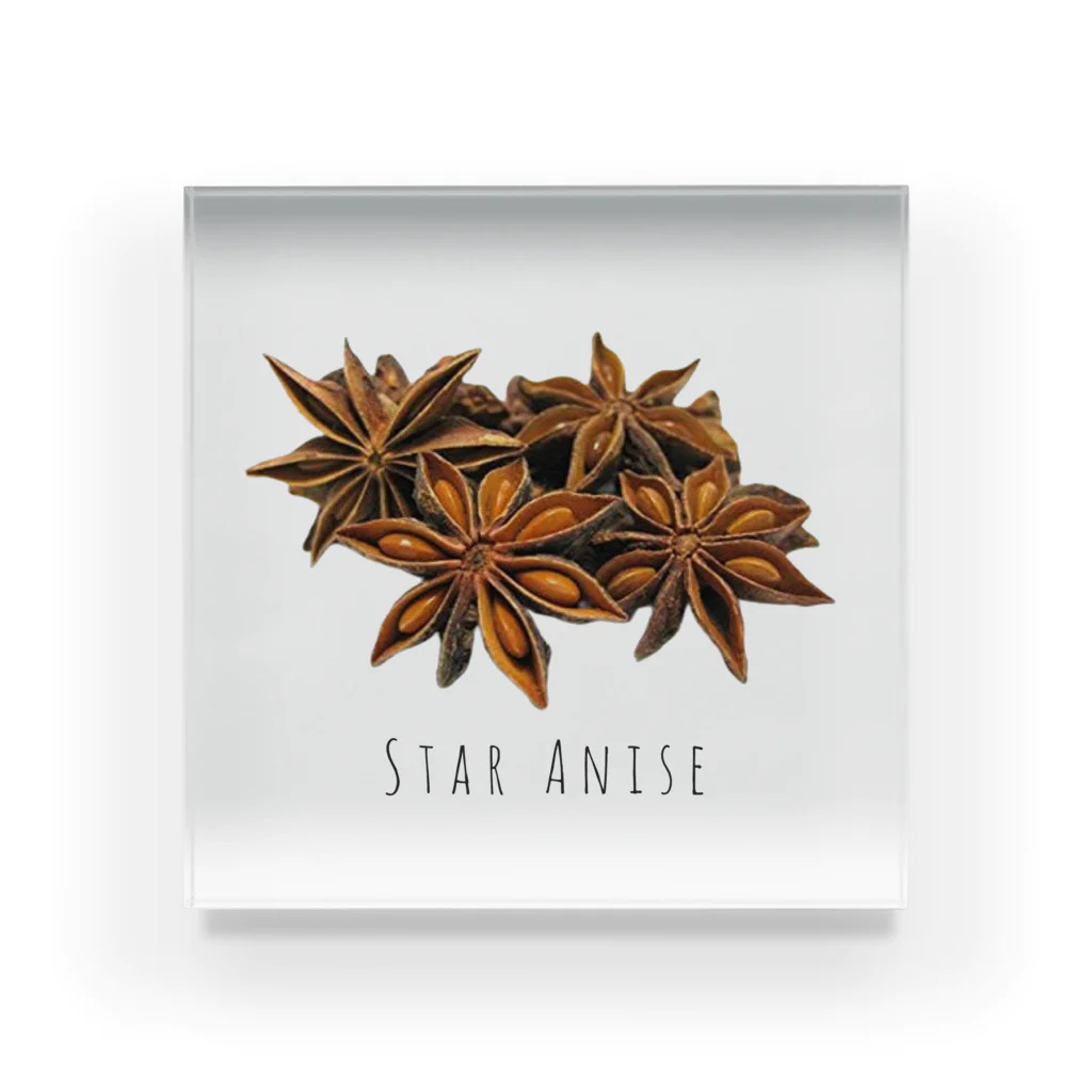 テイク コーポレーションのSTAR ANISE アクリルブロック