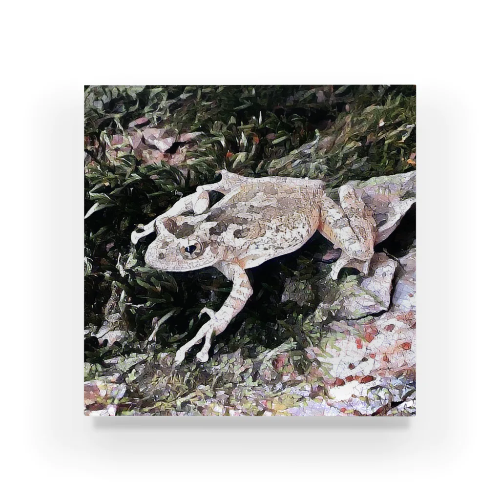Fantastic FrogのFantastic Frog -Calm Version- Acrylic Block