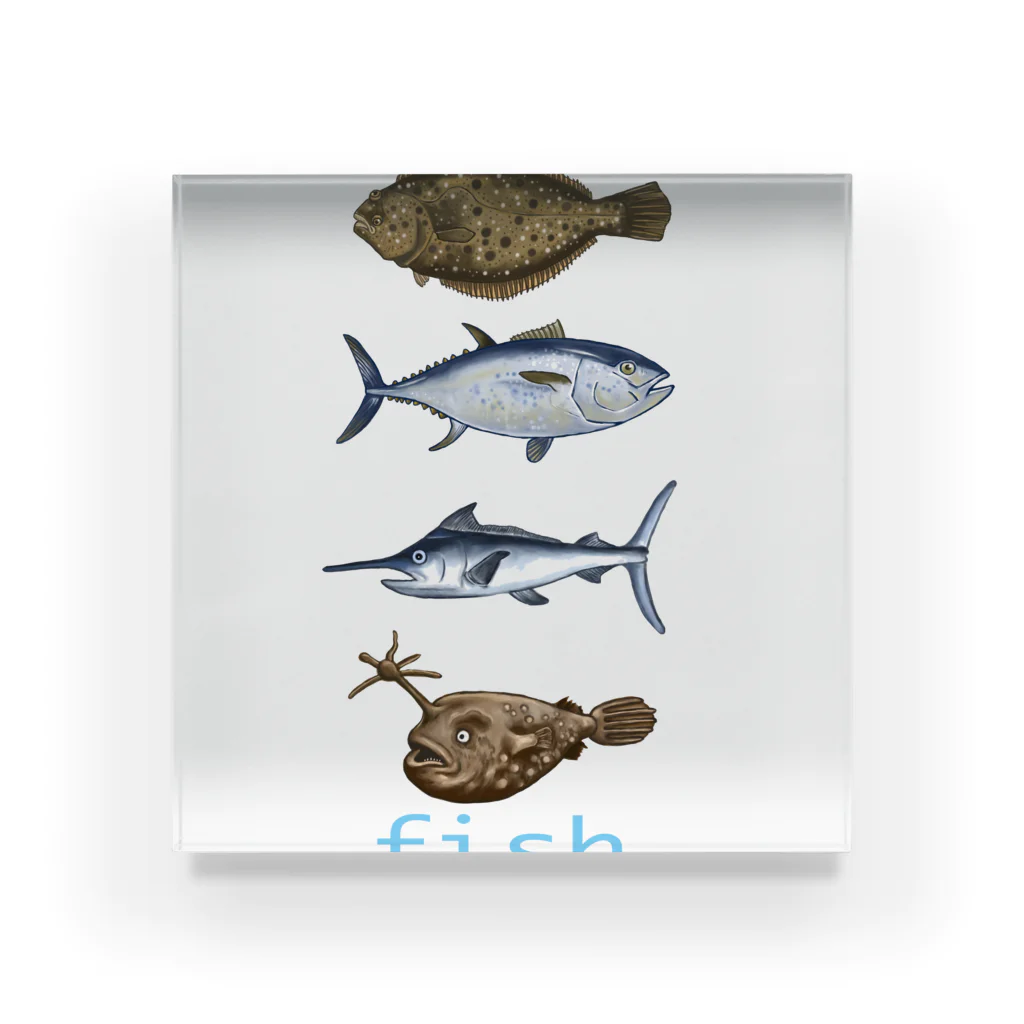 ハマダ ミノルのお魚たち。 Acrylic Block