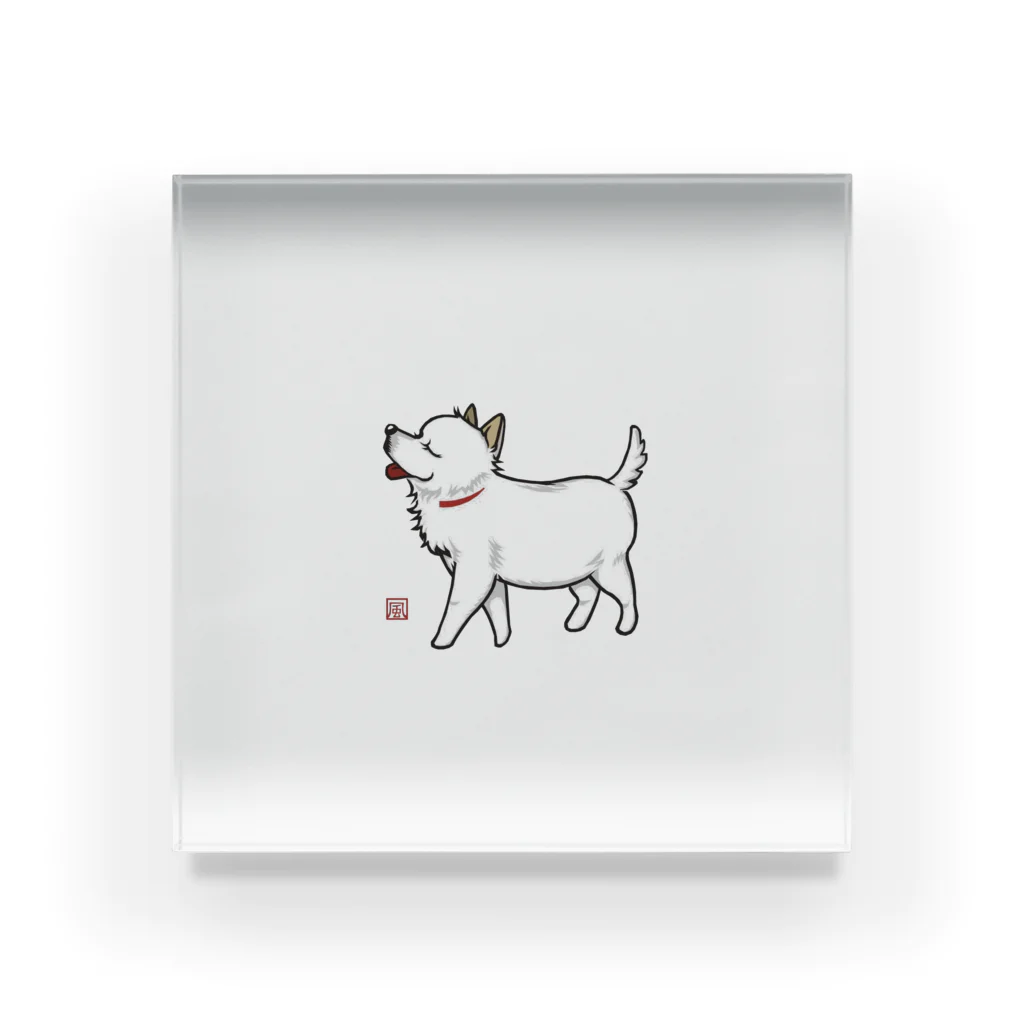 NEXT_Design14のWhite dog. Acrylic Block