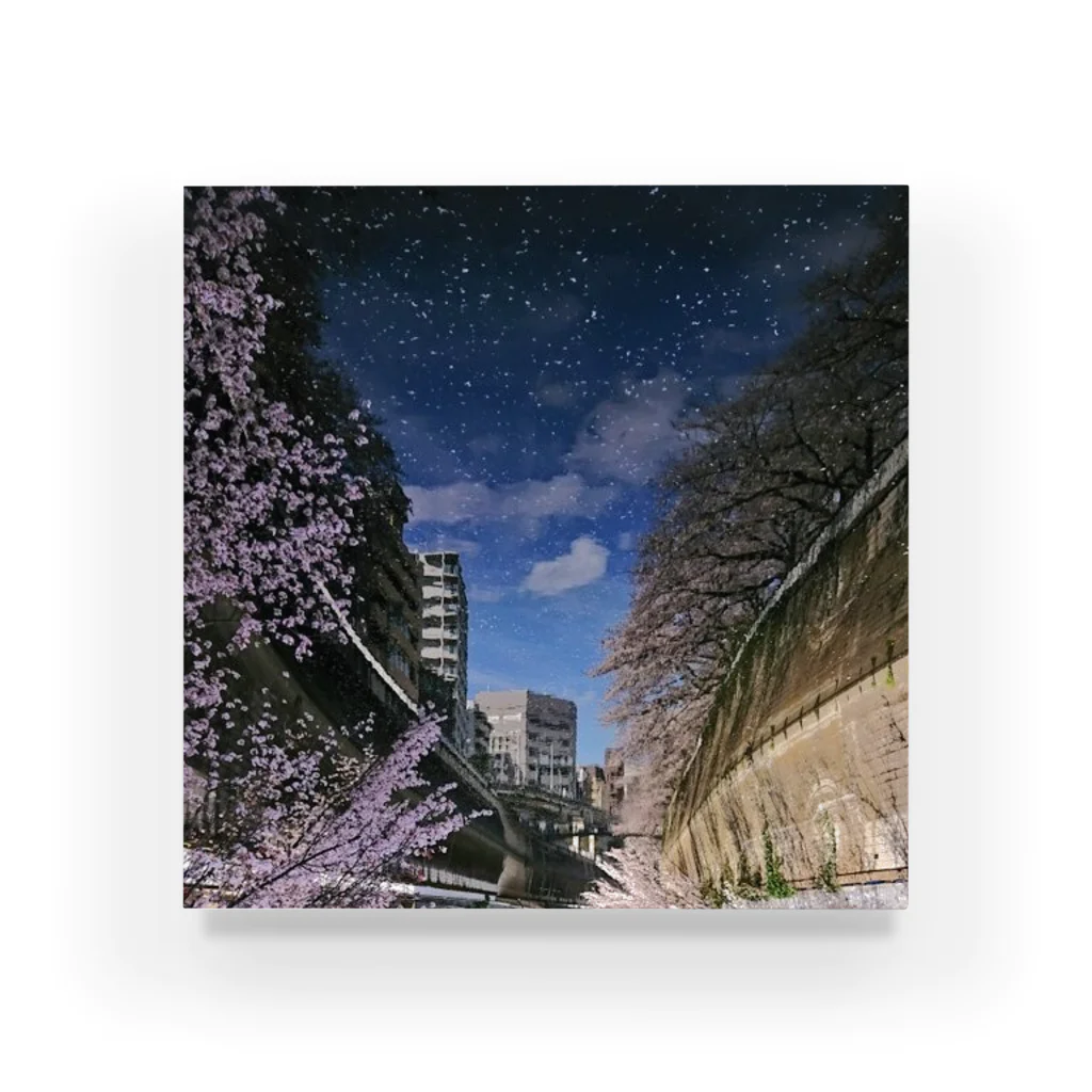 古春一生(Koharu Issey)の桜降る川空へ。 アクリルブロック