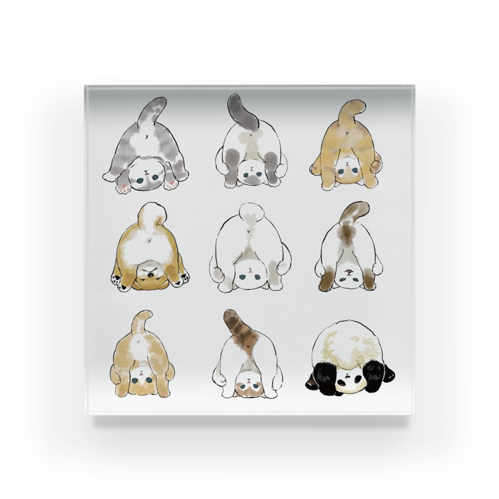 mofusandのおちりコレクション Acrylic Block