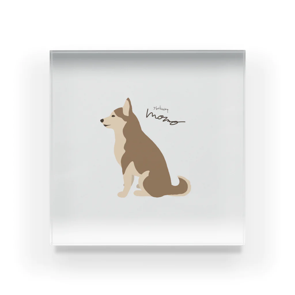 3びきのおいぬさまのshibainu momo Acrylic Block