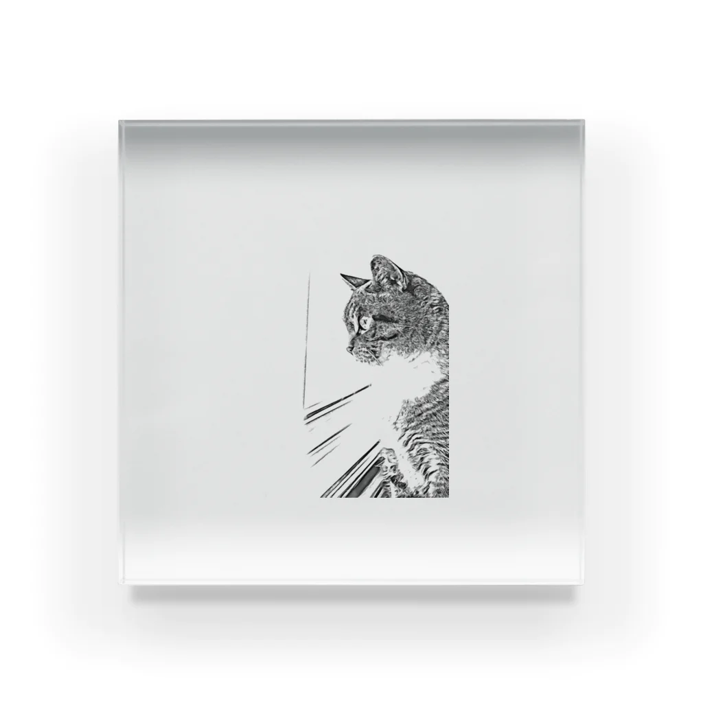 墨時雨まいまいの窓際の猫 Acrylic Block