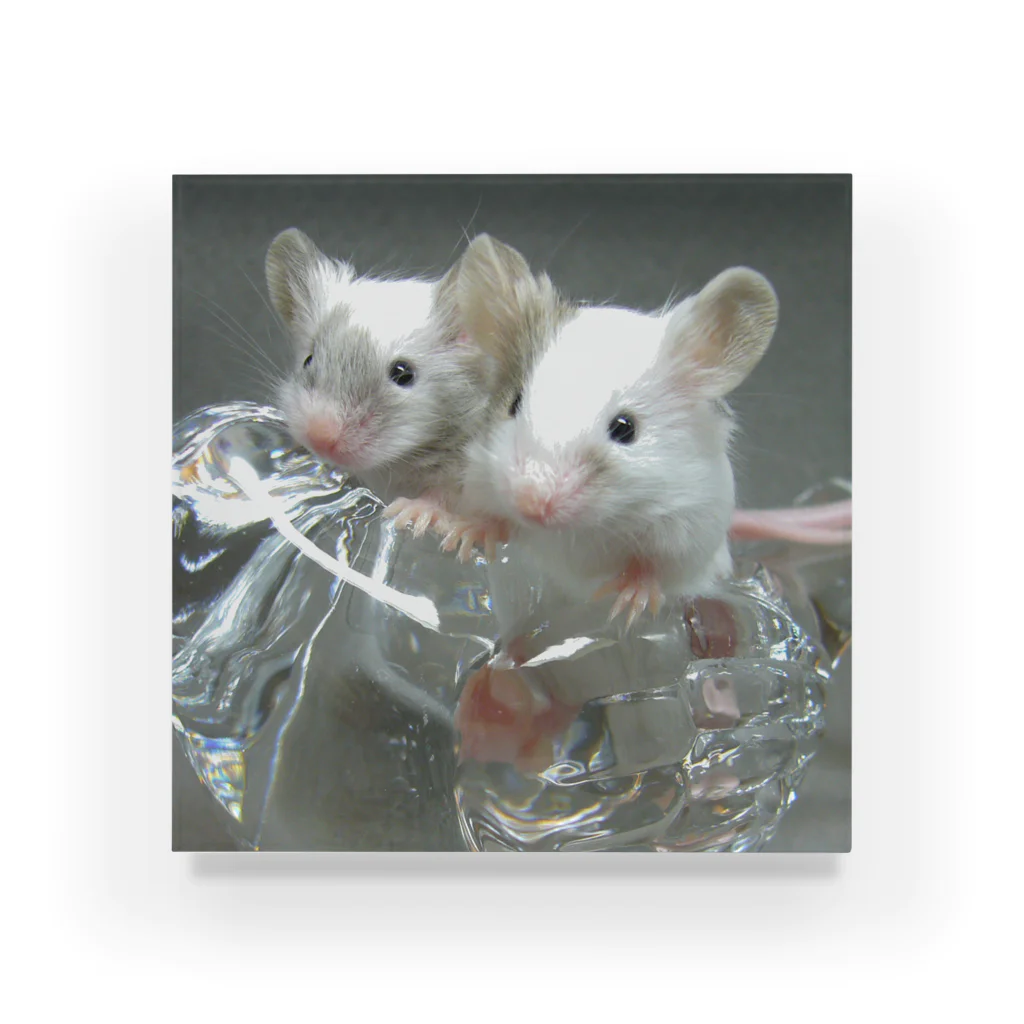 mahiruのLittle mice rides a glass bird Acrylic Block