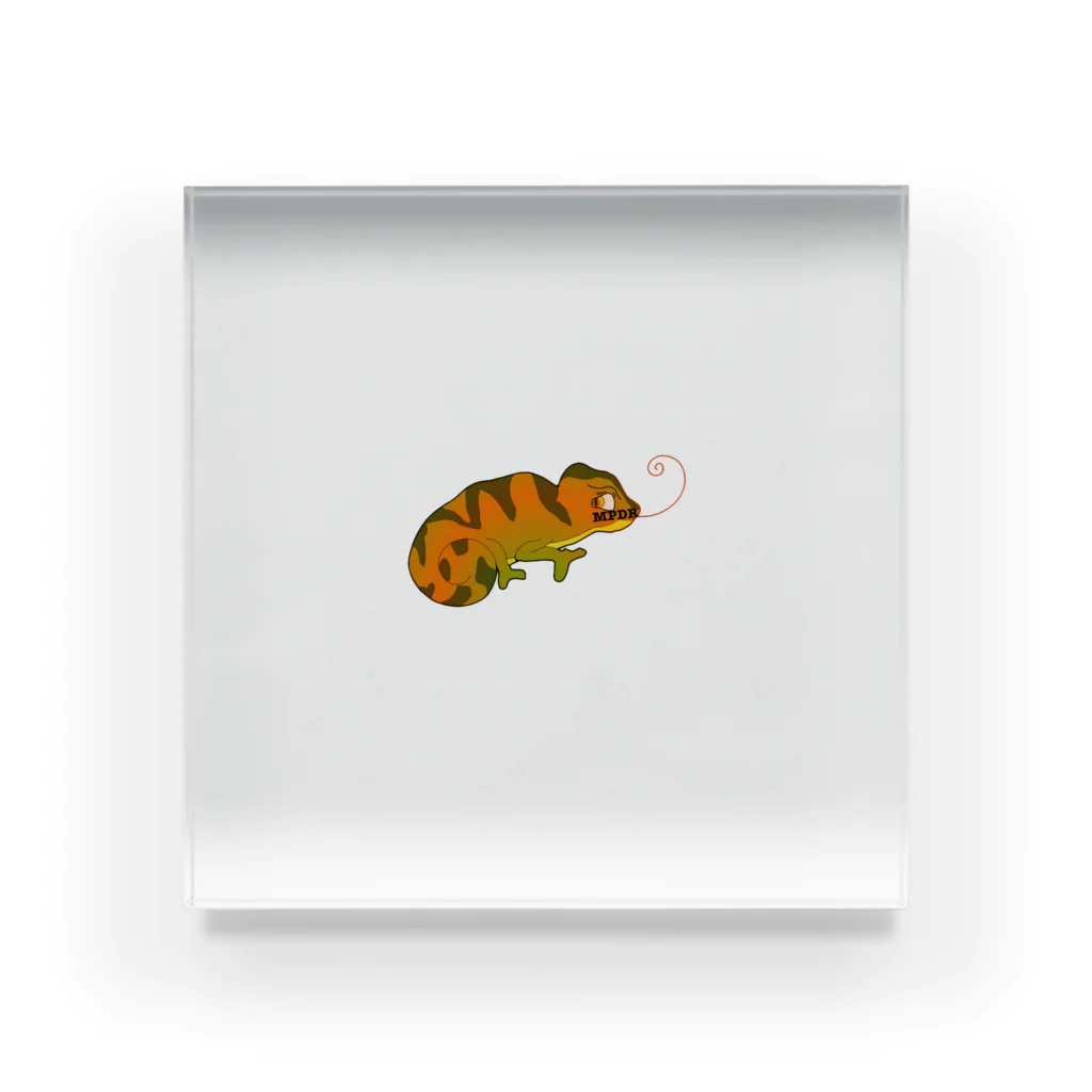 MPDRのchameleon. Acrylic Block