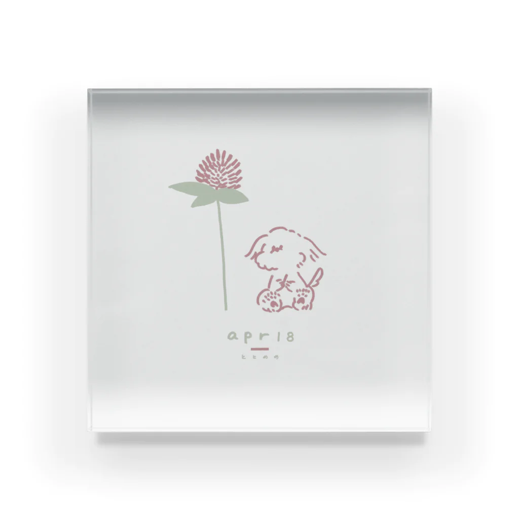 ととめめ/ totomemeのととめめ本日のお花：4月18日 Acrylic Block