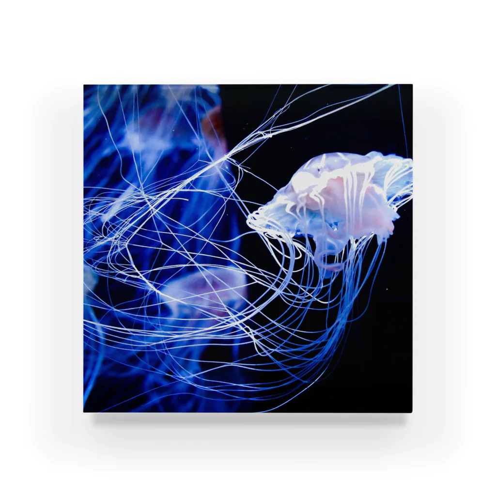 5/2のjellyfish Acrylic Block