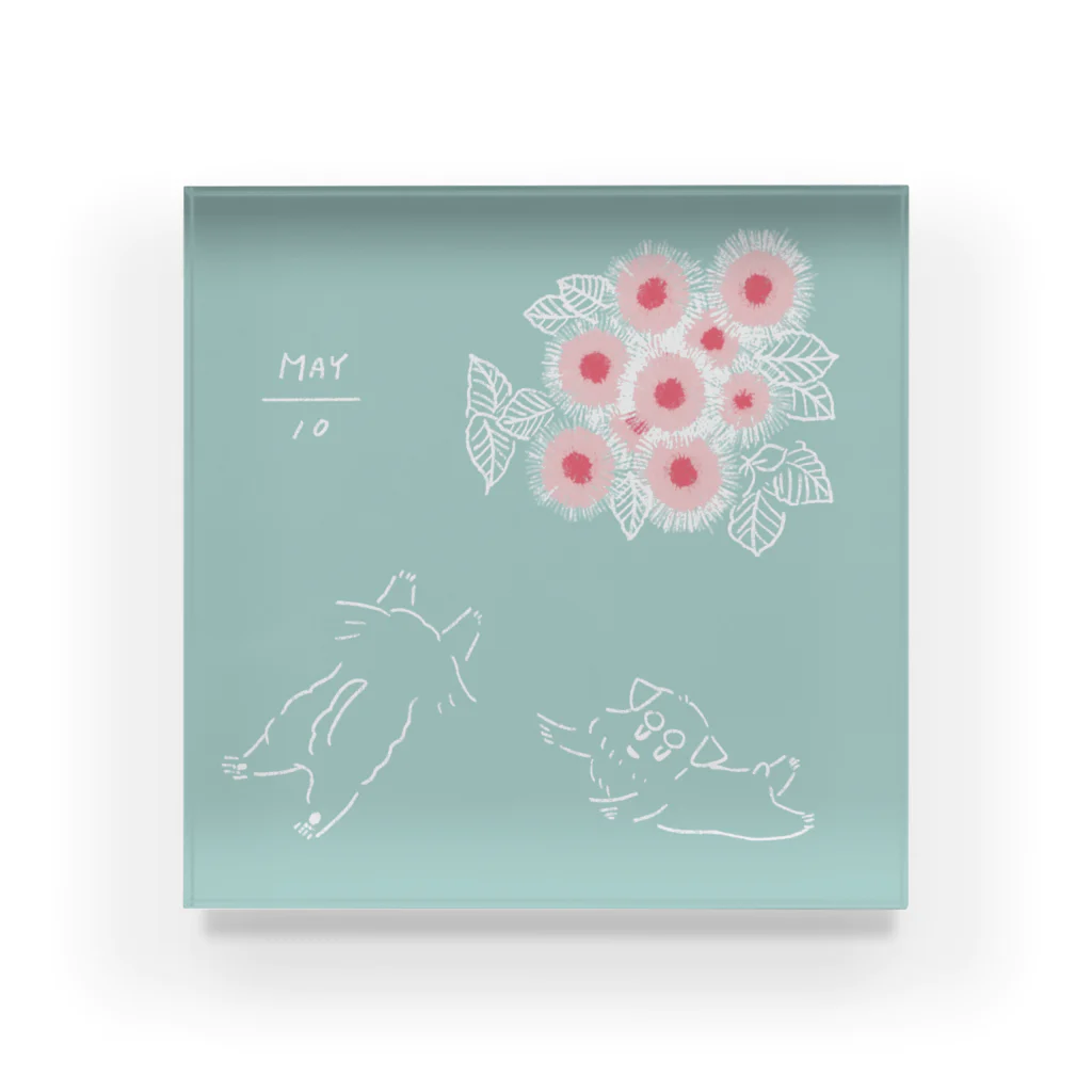 ととめめ/ totomemeのととめめ明日のお花：5月10日 Acrylic Block