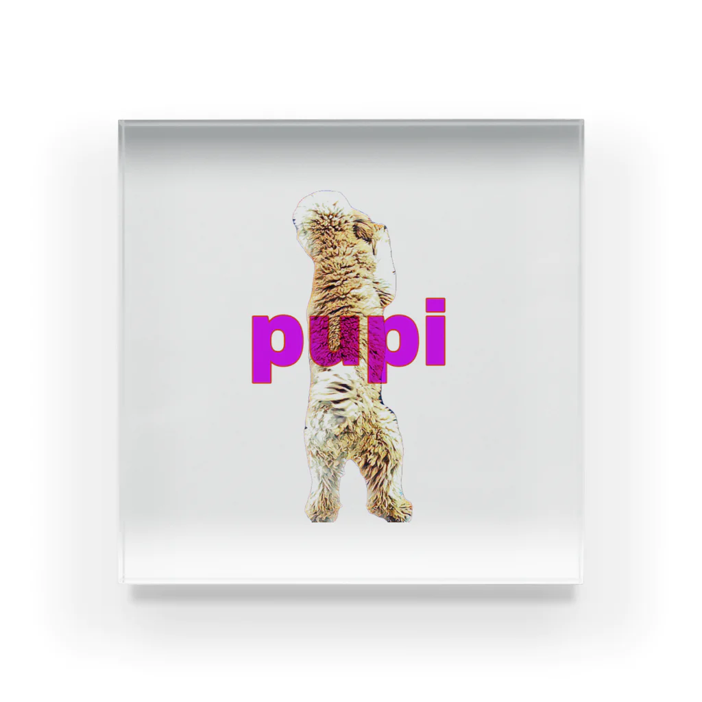 pupiのpupi アクリルブロック