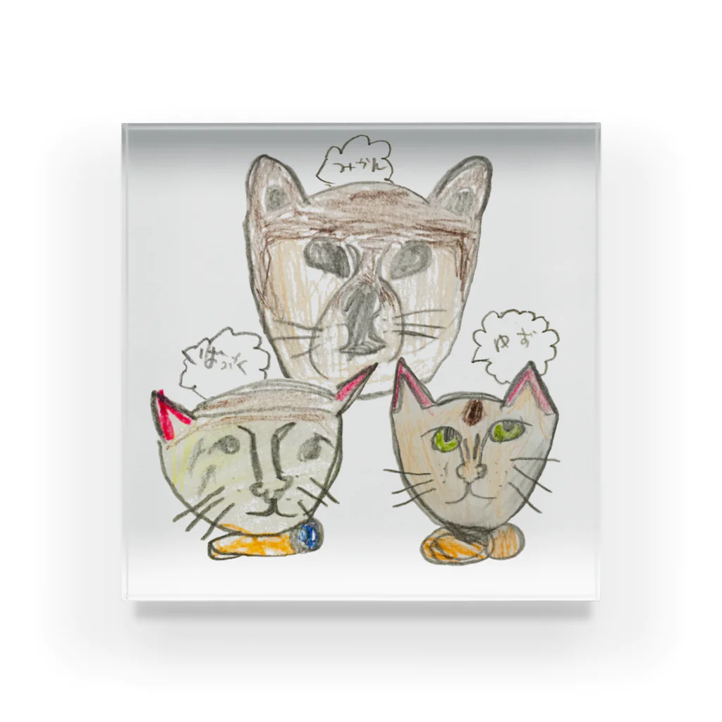 kiichacoの-犬猫猫- アクリルブロック