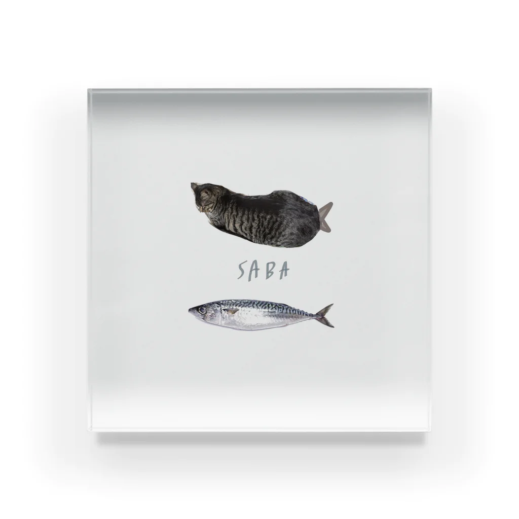 kaepiのfish cat cat Acrylic Block