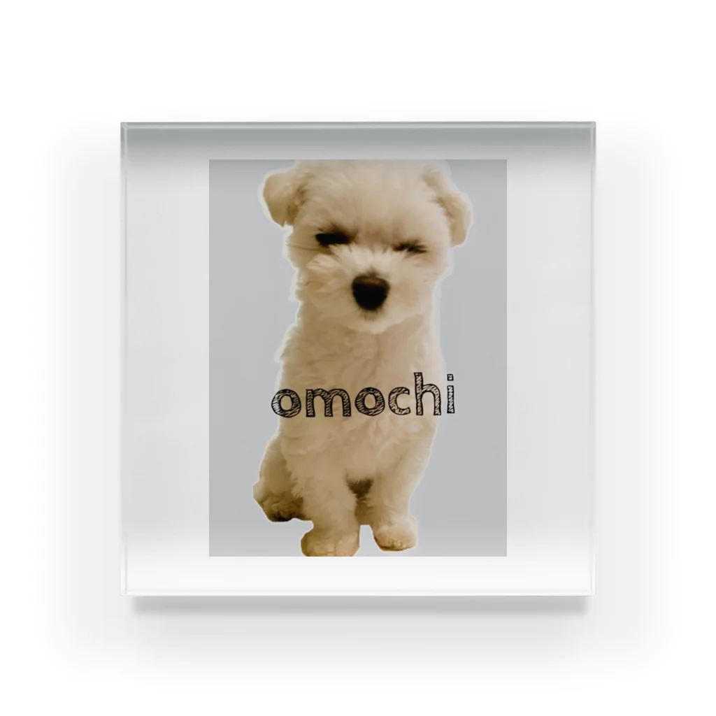 omochi101のomochi アクリルブロック
