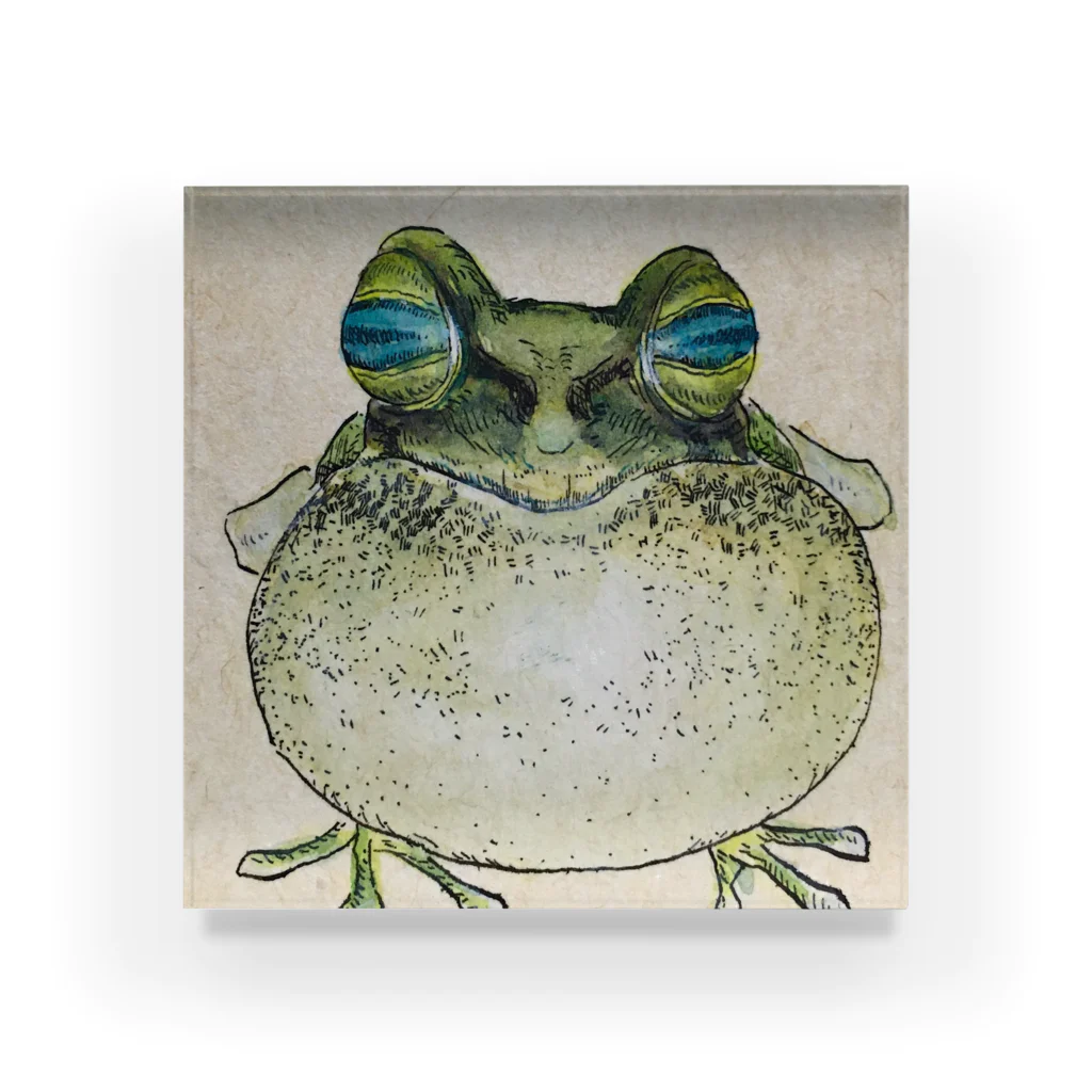 MiyamaのFrog アクリルブロック