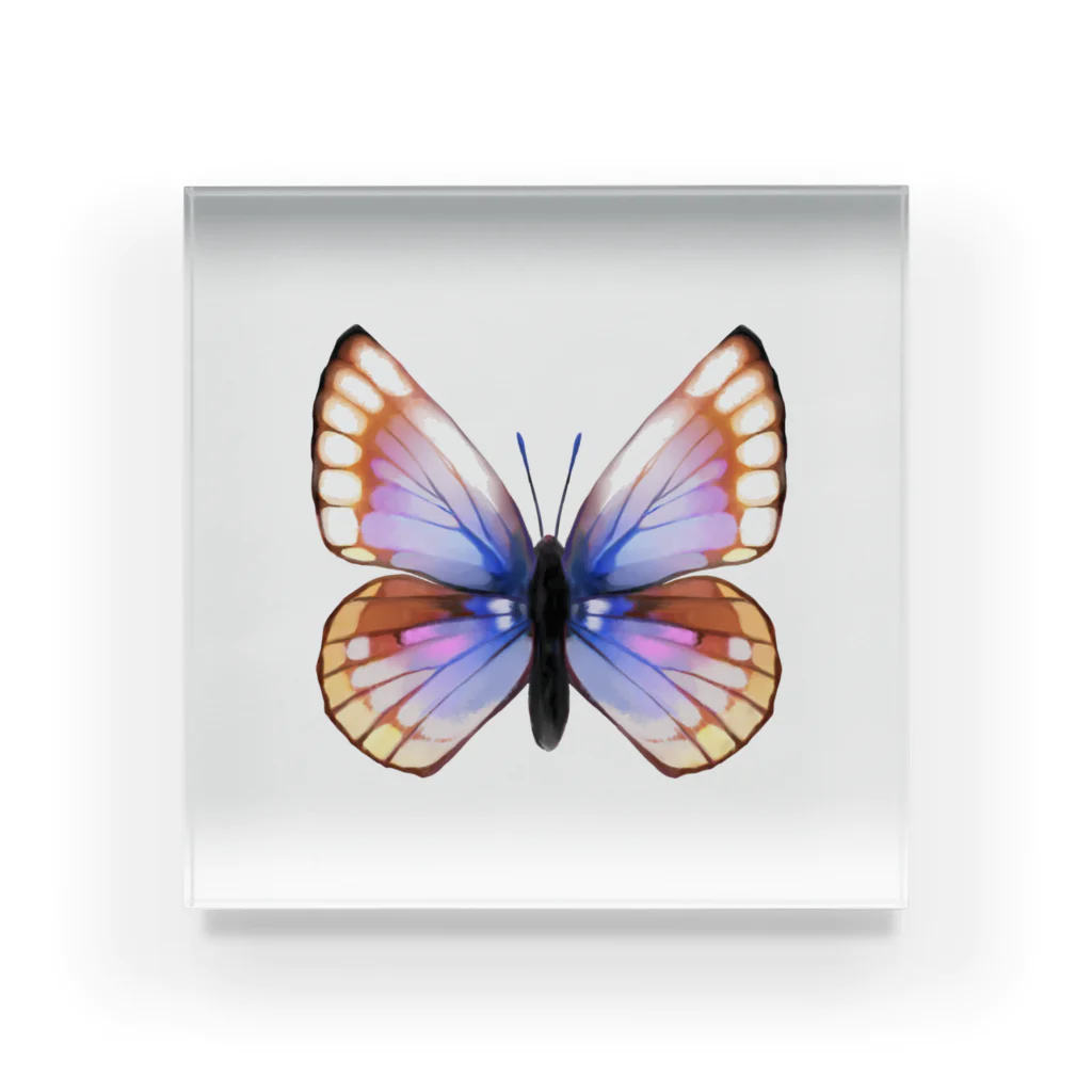エトピリカの蝶々 アクリルブロック
