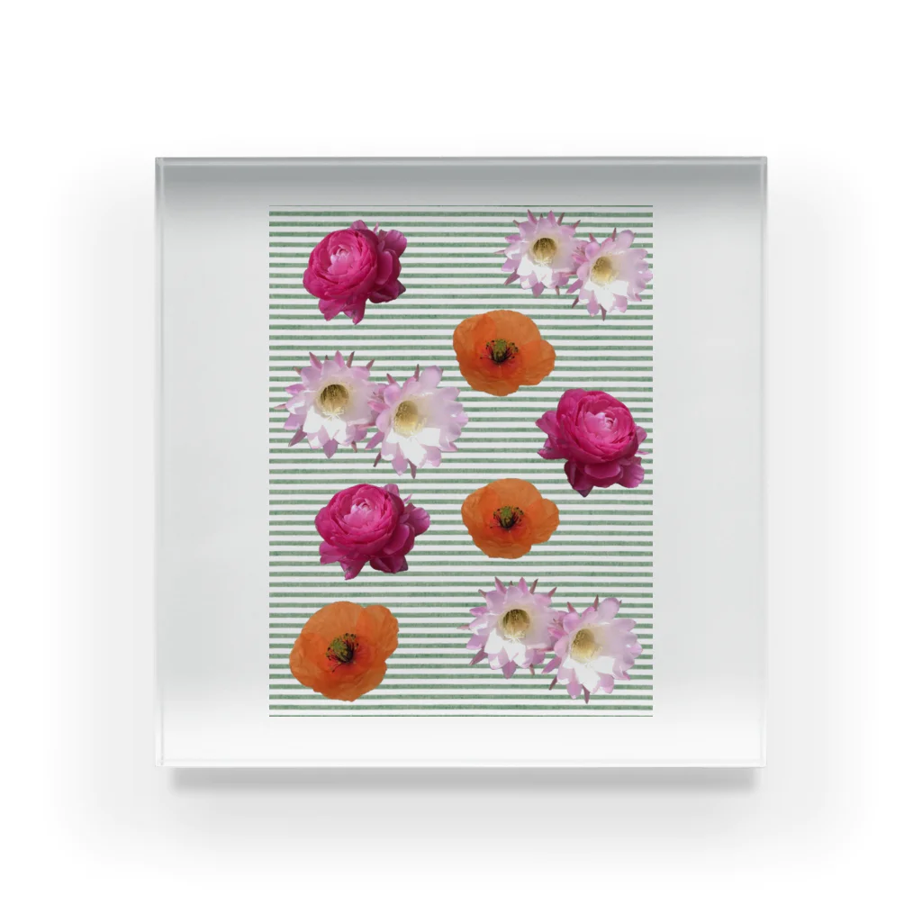 AKの花柄　×  ボーダー　グリーン Acrylic Block