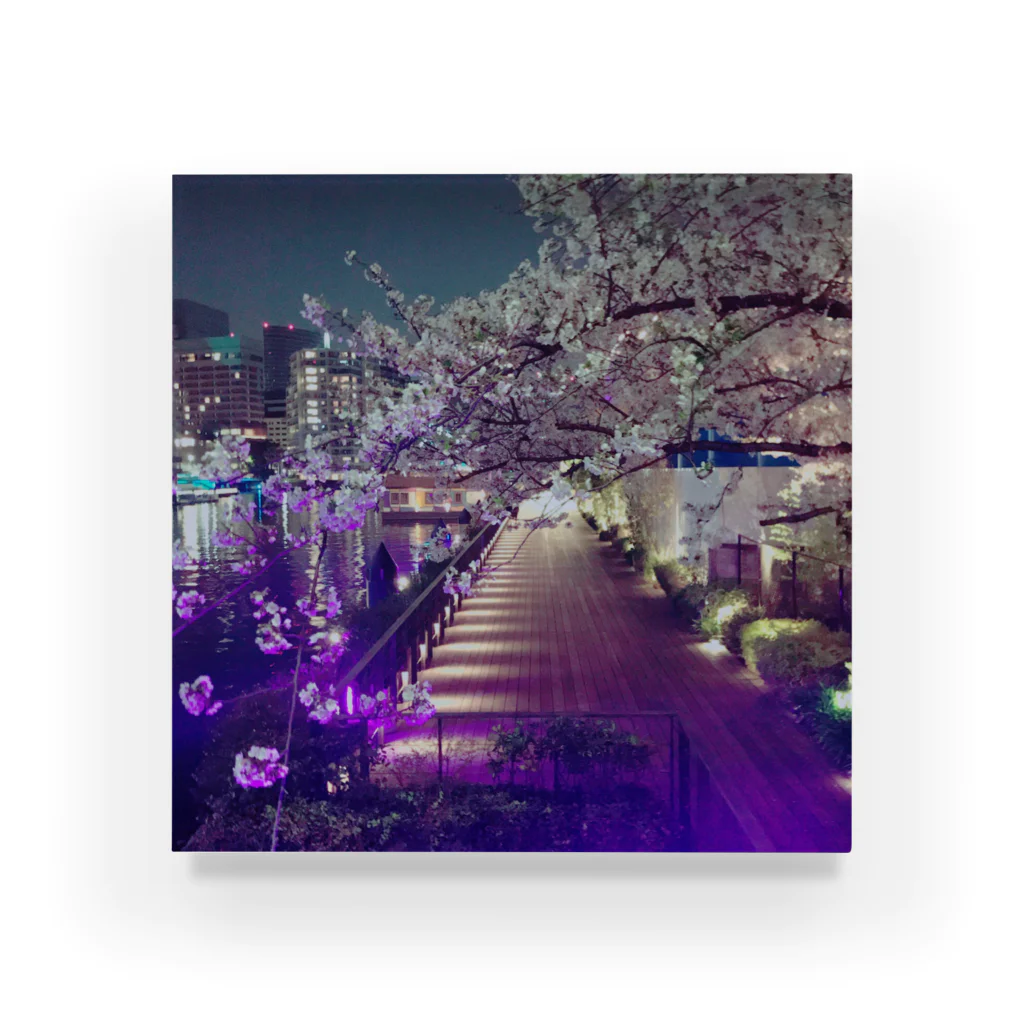 きゅーあぐショップの夜桜 アクリルブロック