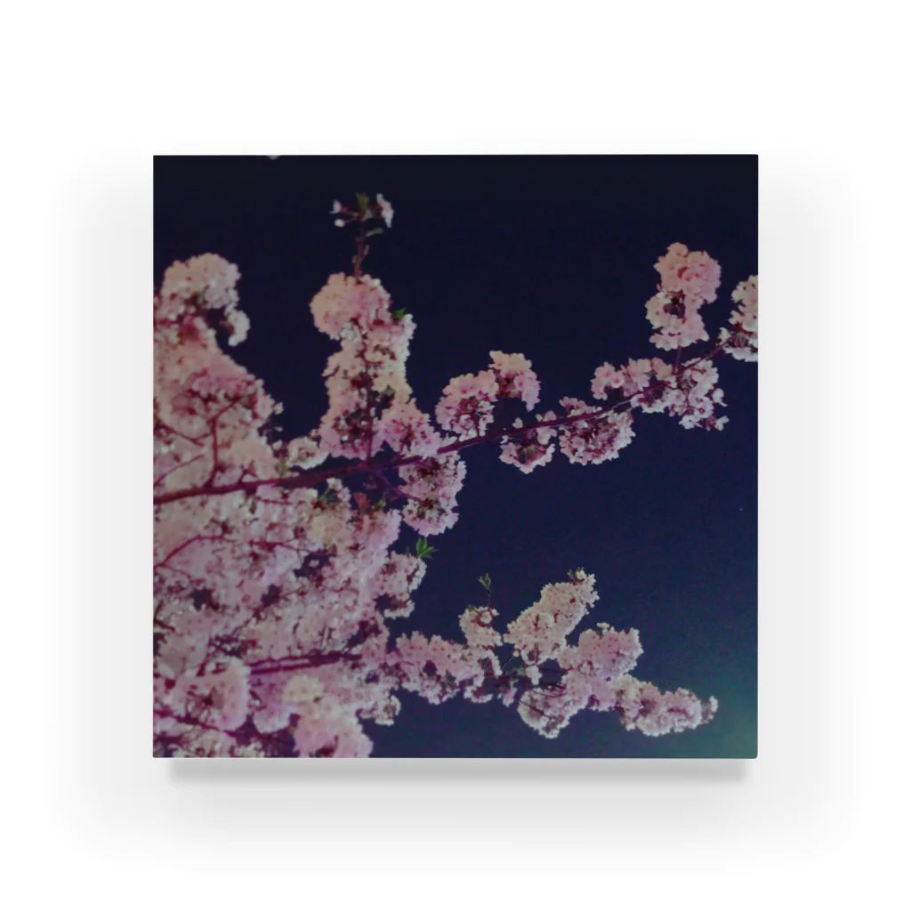 きゅーあぐショップの夜桜 Acrylic Block