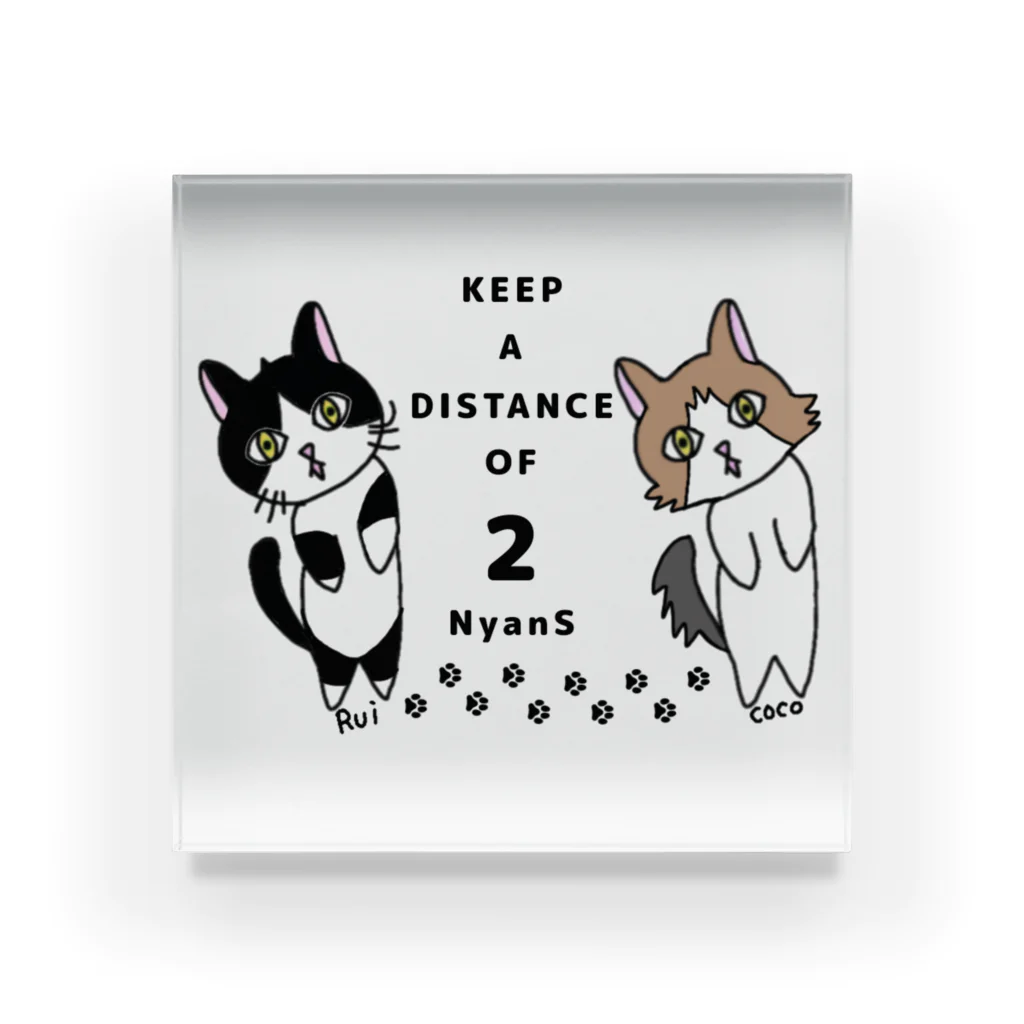 平田 莉紅@ココ&ルイちゃんのKEEP A DISTANCE OF 2 NyanS Acrylic Block