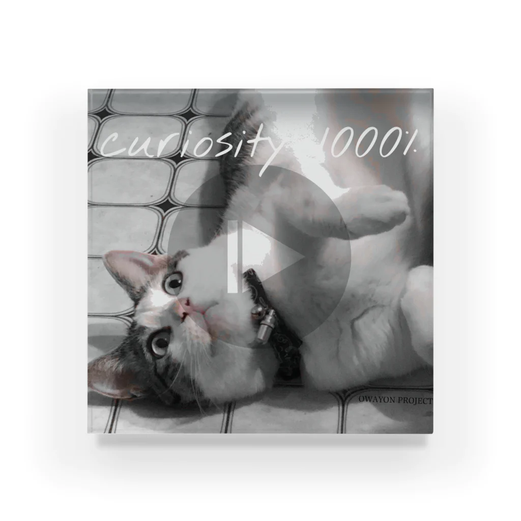 OWAYON ∞ （オワヨン　インフィニティ）の【1000％シリーズ　curiosity cat】 Acrylic Block
