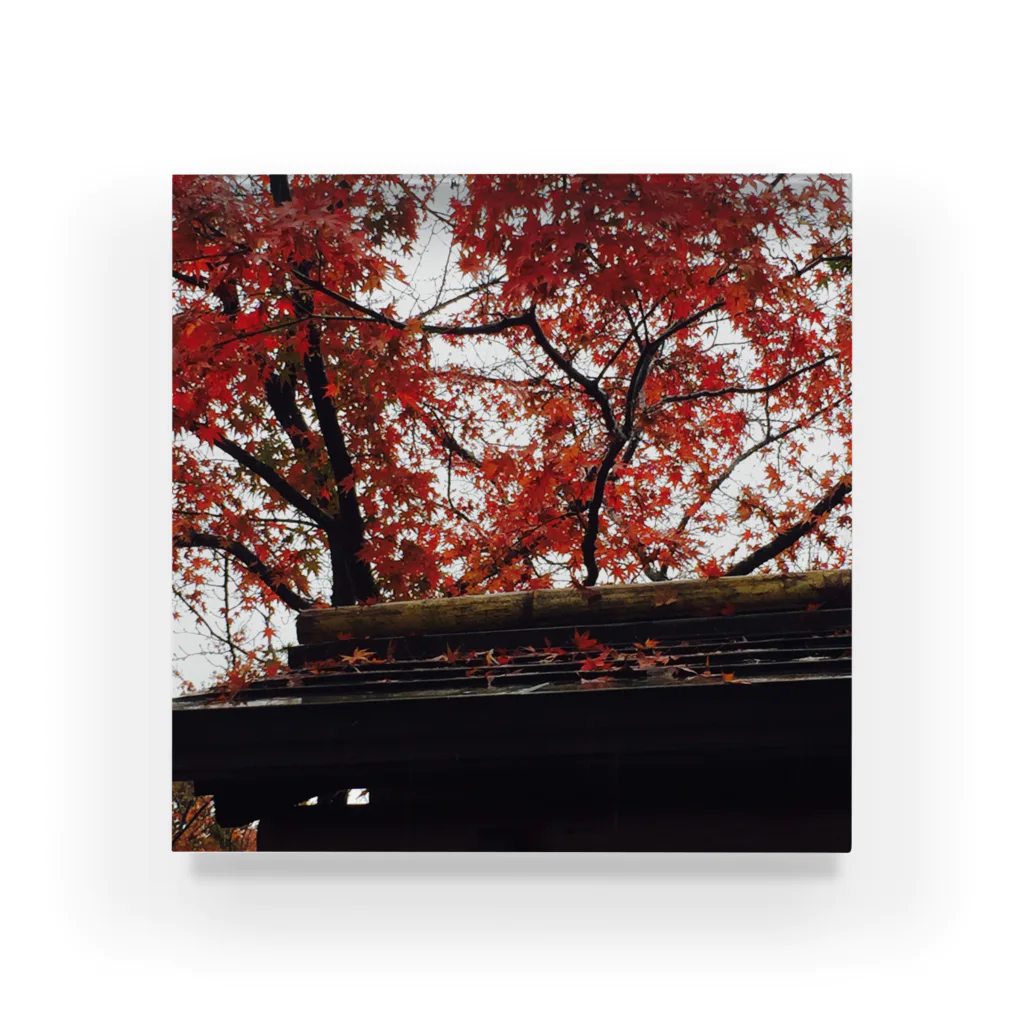yukiowの嵐山の紅葉 Acrylic Block