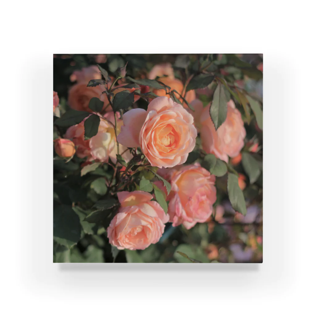 mk-paletのNostalgic rose. Acrylic Block