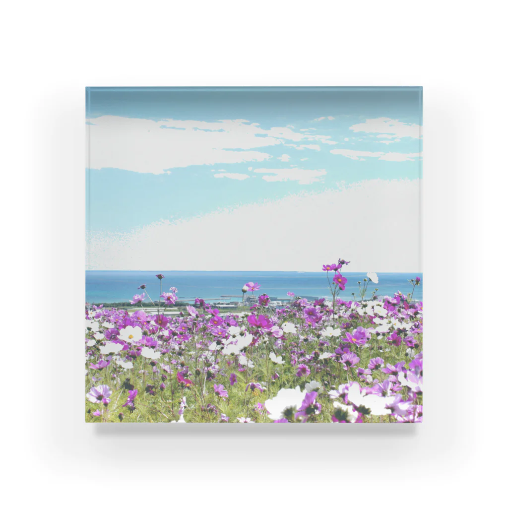 Studio Nakamuraの空と海と秋桜 Acrylic Block