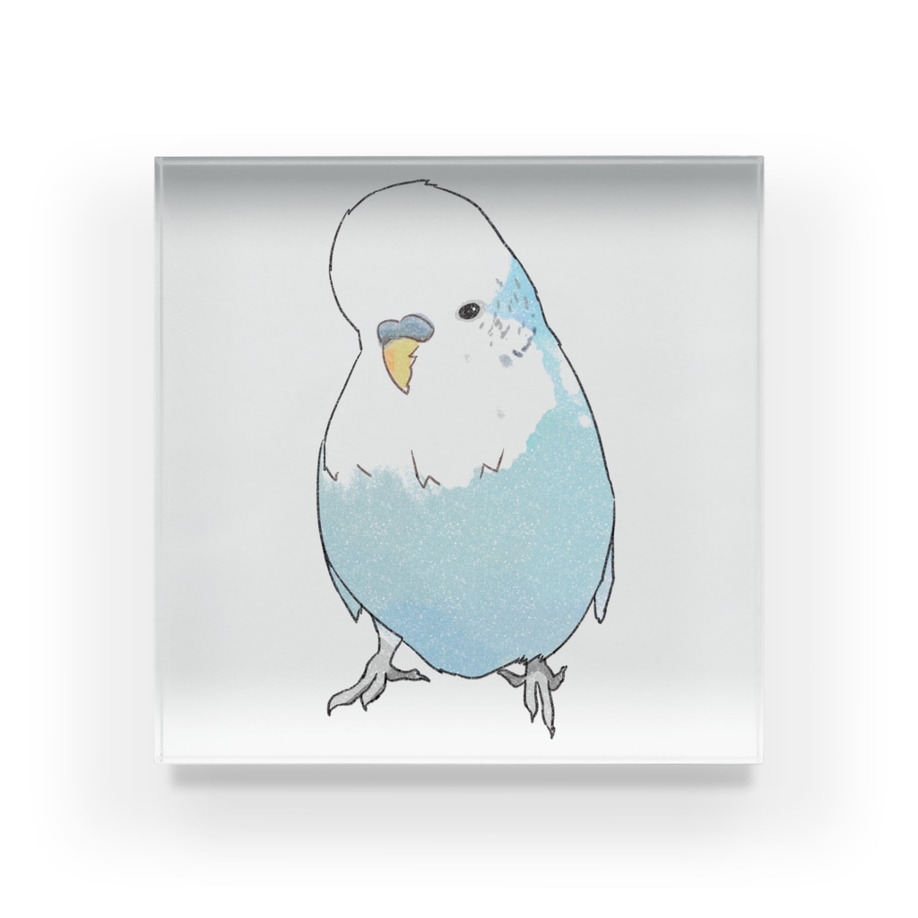 可愛いジャンボセキセイインコ まめるりはことり まめるりはことり Mamelurihakotori のアクリルブロック通販 Suzuri スズリ 可愛いジャンボセキセイインコ まめるりはことり まめるりはことり Mamelurihakotori のアクリルブロック通販 Suzuri スズリ