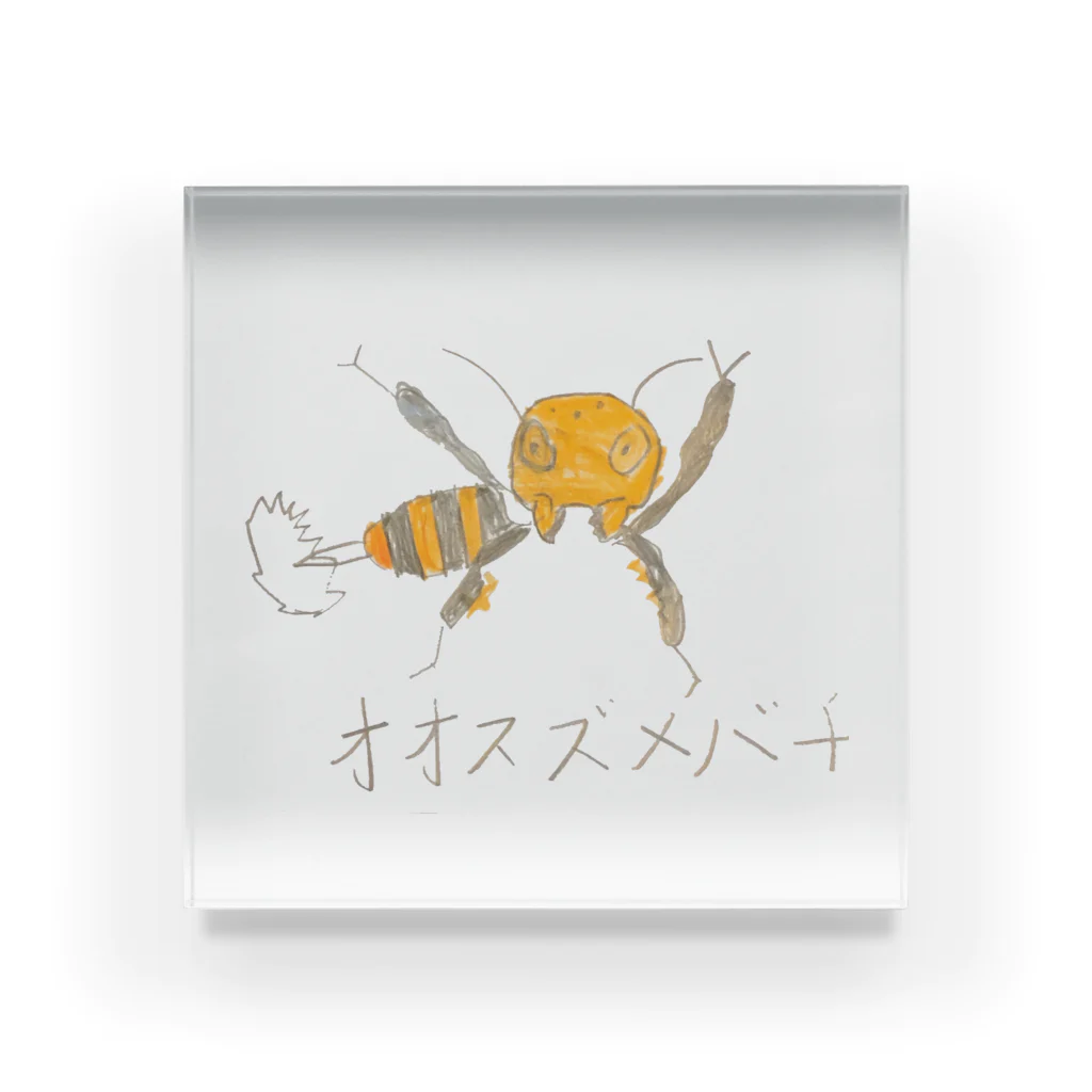 ムシロのオオスズメバチ‼️ Acrylic Block