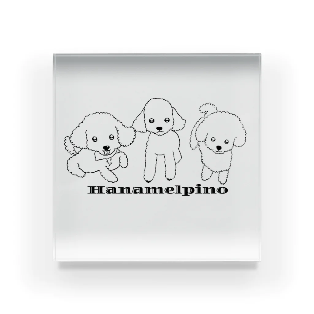 BrainsFormalinのHANAMELPINO(背景なし) アクリルブロック